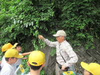 s-IMG_5011