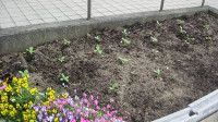 s-IMG_3619