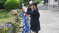 s-IMG_3631