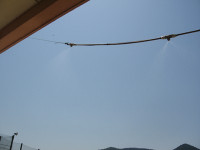 s-IMG_3642