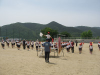 s-IMG_3671
