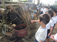 s-IMG_3425